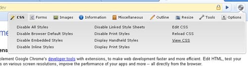 Screenshot - Web Developer Extension