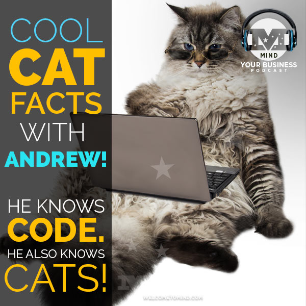 Mind Cat Facts