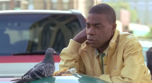 Tracy Jordan Looking at a Pigeon