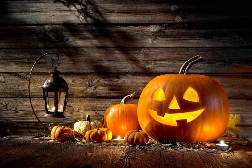 jack o lantern and pumpkins