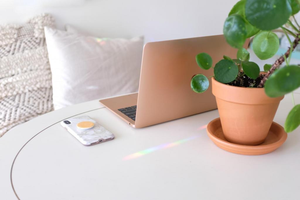 laptop and plant on a table