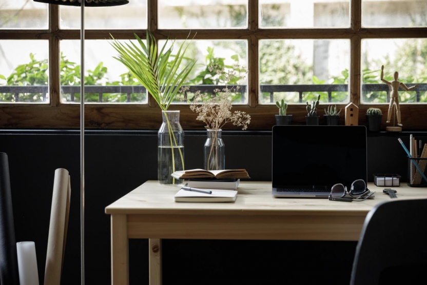 work from home setup - laptop, books, and plants on a desk