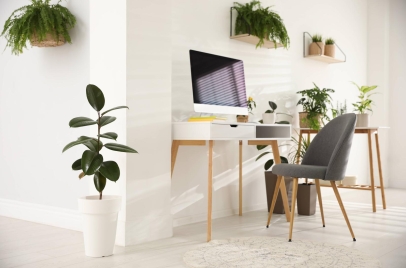 home office, desk, computer, and plant in a workspace